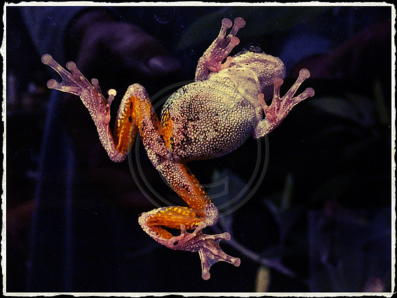 IMG_4485