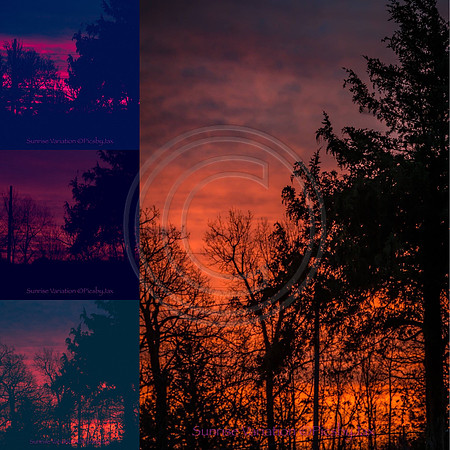 IMG_4247