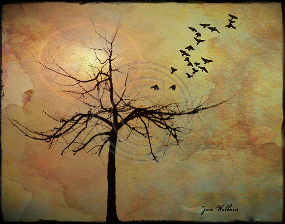 Photo Artistry 11X14 Crop (c)PicsbyJax-2391.jpg