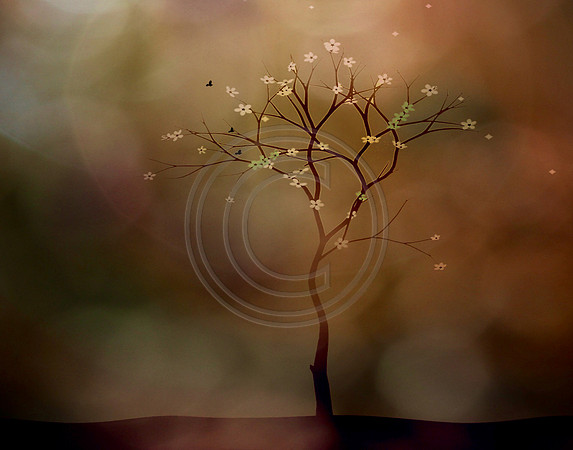 Photo Artistry 11X14 Crop (c)PicsbyJax-2394.jpg