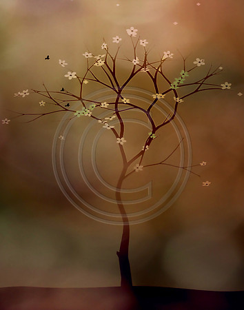 Photo Artistry 11X14 Crop (c)PicsbyJax-2395.jpg