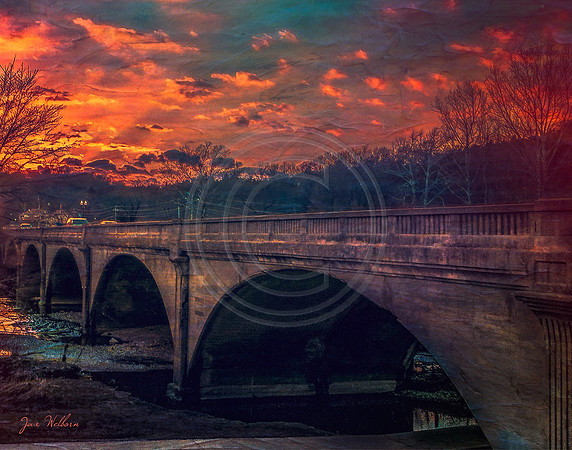 Photo Artistry 11X14 Crop (c)PicsbyJax-2318.jpg