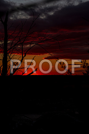 untitled-8392.jpg