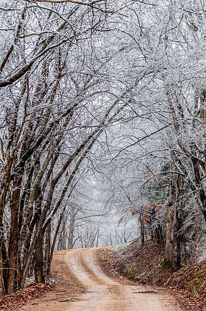 Jupiter Ice Storm- Saturday 14, 2017 (c)PicsbyJax whatisee shootandediteveryday picsbyjax-0091.jpg