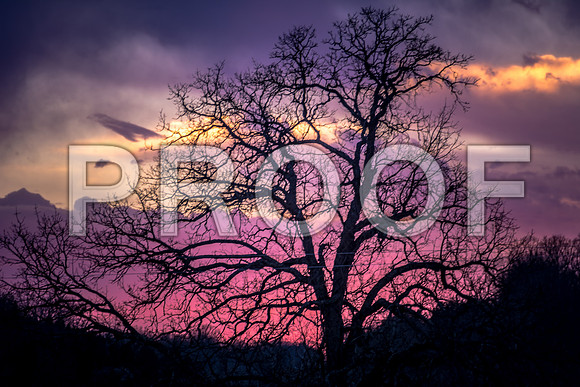 #rain #picsbyjax-6413.jpg