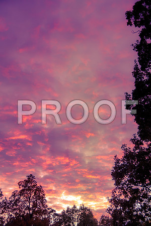 Sunset(c)picsbyjax #whatisee #sunset #shootandediteveryday-4695.jpg