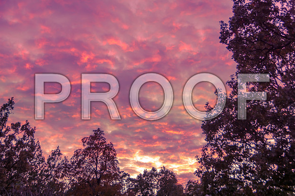 Sunset(c)picsbyjax #whatisee #sunset #shootandediteveryday-4698.jpg