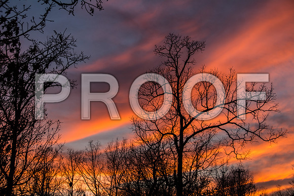 Sunset(c)picsbyjax #whatisee #sunset #shootandediteveryday-6261-2.jpg