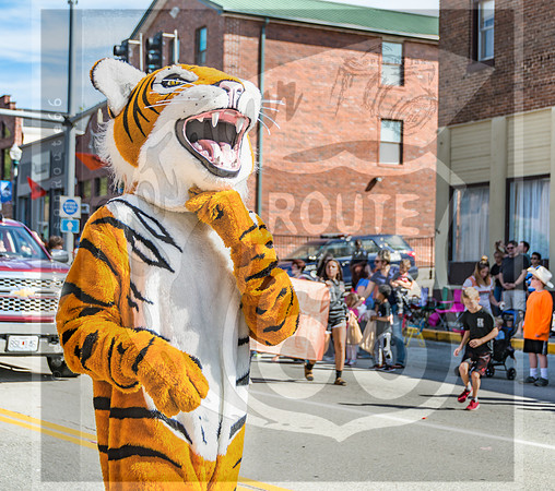 Route 66- Homecoming Parade in Waynesville, MO (C)2017PicsbyJax #WHS #waynesvillehomecoming2017 #WMS #tigerpride #getyourpicsonroute66 #picsbyjax -2442.jpg
