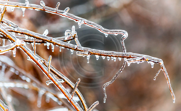 Jupiter Ice Storm- Friday 13, 2017 (c)PicsbyJax whatisee shootandediteveryday picsbyjax-0027.jpg