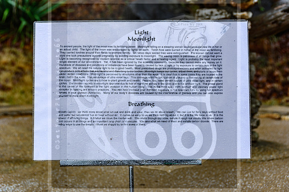 Route 66 -  Trail of Tears Reopening Event in Jerome, MO ©PicsbyJax #route66 #trailoftearsmemorialandhealinggardens #jeromemo #getyourpicsonroute66 #picsbyjax-4126.jpg