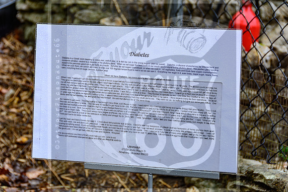 Route 66 -  Trail of Tears Reopening Event in Jerome, MO ©PicsbyJax #route66 #trailoftearsmemorialandhealinggardens #jeromemo #getyourpicsonroute66 #picsbyjax-4144.jpg