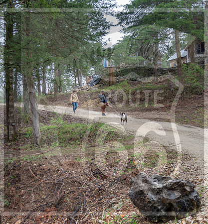 Route 66 -  Trail of Tears Reopening Event in Jerome, MO ©PicsbyJax #route66 #trailoftearsmemorialandhealinggardens #jeromemo #getyourpicsonroute66 #picsbyjax-4153.jpg