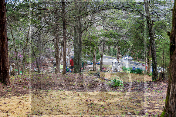 Route 66 -  Trail of Tears Reopening Event in Jerome, MO ©PicsbyJax #route66 #trailoftearsmemorialandhealinggardens #jeromemo #getyourpicsonroute66 #picsbyjax-4160.jpg