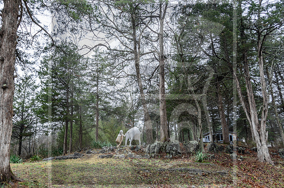 Route 66 -  Trail of Tears Reopening Event in Jerome, MO ©PicsbyJax #route66 #trailoftearsmemorialandhealinggardens #jeromemo #getyourpicsonroute66 #picsbyjax-4284.jpg