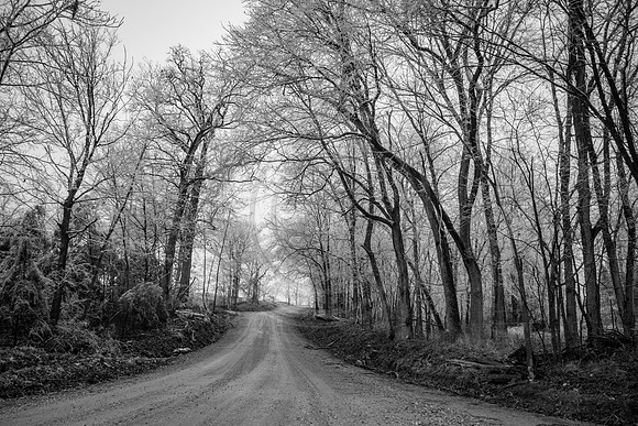 Jupiter Ice Storm- Saturday 14, 2017 (c)PicsbyJax whatisee shootandediteveryday picsbyjax-5029.jpg