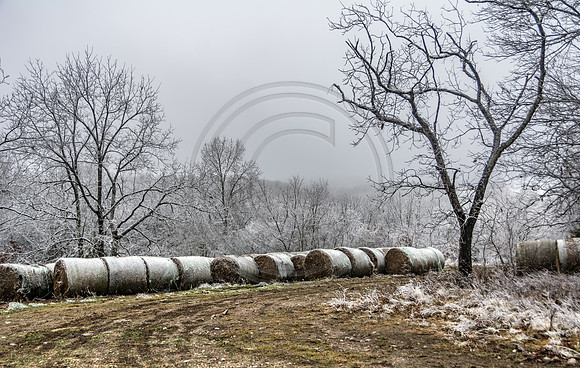 Jupiter Ice Storm- Saturday 14, 2017 (c)PicsbyJax whatisee shootandediteveryday picsbyjax-5052.jpg