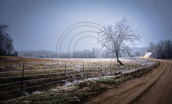Jupiter Ice Storm- Saturday 14, 2017 (c)PicsbyJax whatisee shootandediteveryday picsbyjax-5007.jpg