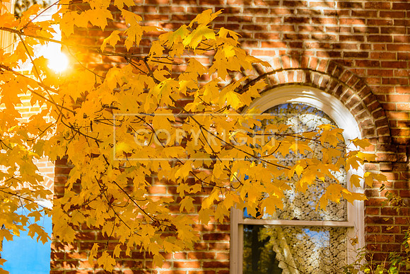 Route 66 - Fall in Waynesville, MO  (c)PicsbyJax #rt66courthouse #getyourpicsonroute66 #route66 #picsbyjax-5263.jpg