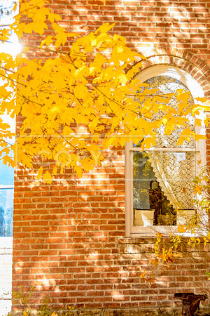 Route 66 - Fall in Waynesville, MO  (c)PicsbyJax #rt66courthouse #getyourpicsonroute66 #route66 #picsbyjax-5267.jpg