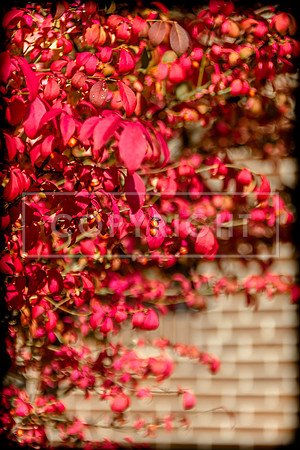 Route 66 - Fall in Waynesville, MO  (c)PicsbyJax #rt66courthouse #getyourpicsonroute66 #route66 #picsbyjax-5276.jpg