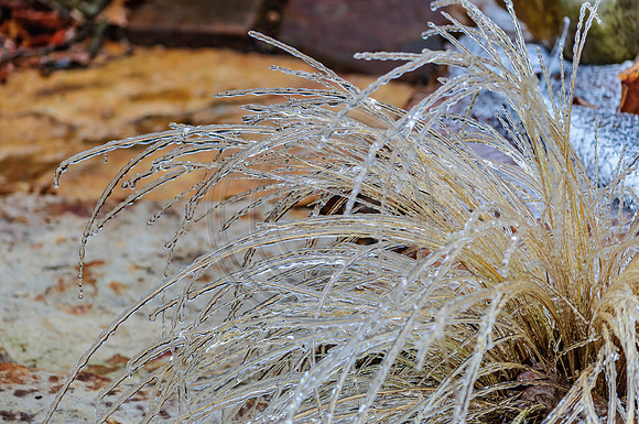 Jupiter Ice Storm- Friday 13, 2017 (c)PicsbyJax whatisee shootandediteveryday picsbyjax-0063.jpg