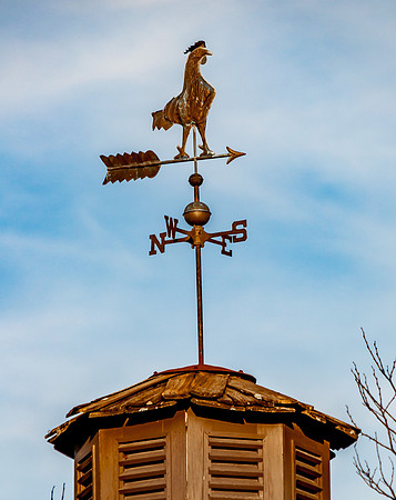 Pulaski County Gazebo Cupala © PicsbyJax-0114.jpg