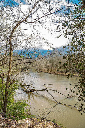 Roubidoux Creek © PicsbyJax--10.jpg