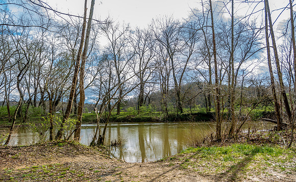 Roubidoux Creek © PicsbyJax--17.jpg