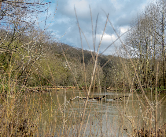 Roubidoux Creek © PicsbyJax--18.jpg