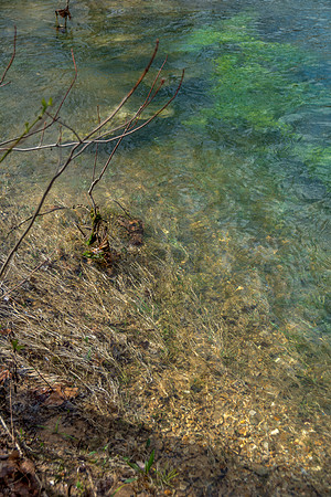 Roubidoux Spring© PicsbyJax--19.jpg