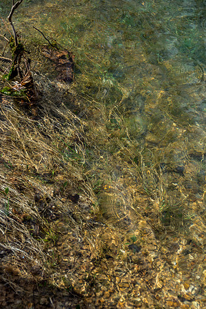 Roubidoux Spring © PicsbyJax--20.jpg