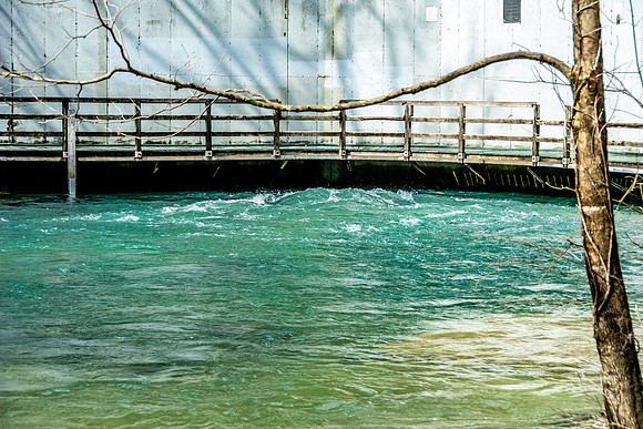Roubidoux Spring© PicsbyJax--21.jpg