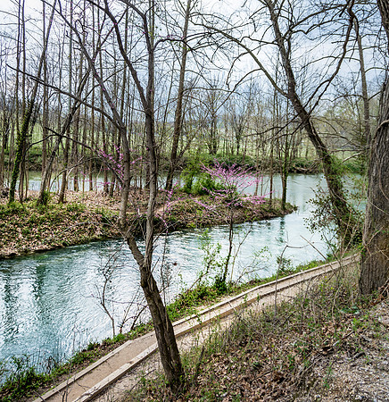 Roubidoux Creek© PicsbyJax-7890.jpg