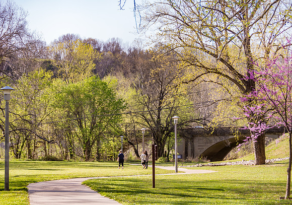 Spring in Waynesville, MO © PicsbyJax--23.jpg