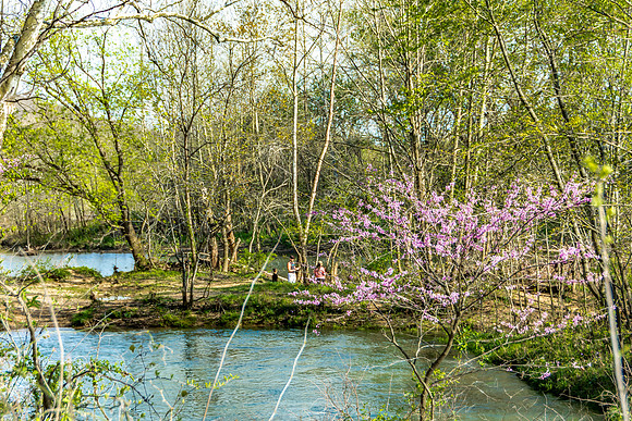 Spring at the Roubidoux Creek © PicsbyJax--29.jpg