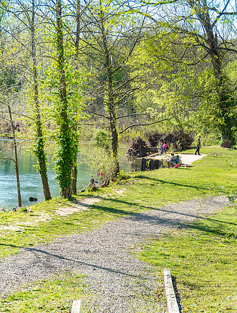 Spring at the Roubidoux Creek © PicsbyJax--30.jpg