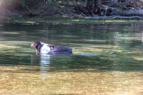 Roubidoux Creek@Roubidoux Park in Waynesville, MO © PicsbyJax-6348.jpg