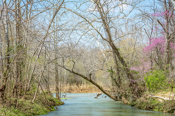 Spring on the Roubidoux © PicsbyJax-3972.jpg