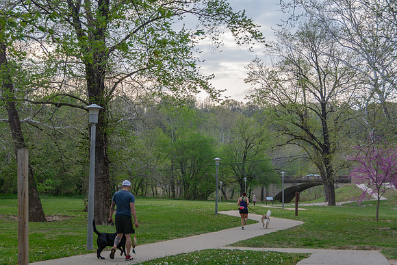 Walking trail at the Roy Laughlin Park © PicsbyJax-4954.jpg