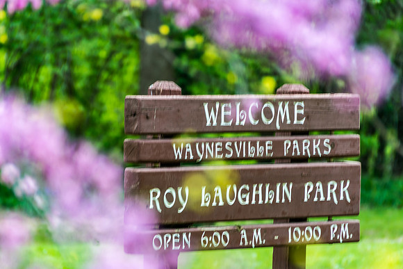 Roy Laughlin Park © PicsbyJax-4986.jpg