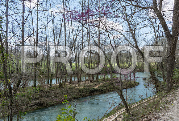 Spring at the Roubidoux Spring © PicsbyJax-3962.jpg