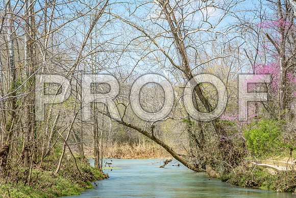Spring at the Roubidoux Spring © PicsbyJax-3972.jpg