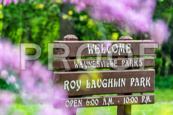 Laughlin Park © PicsbyJax-4986.jpg