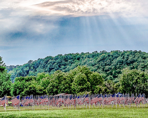 Field of Heroes 2015-0794.jpg