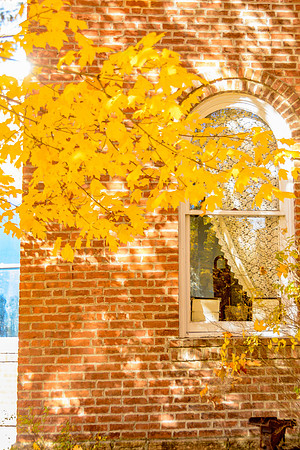 Route 66 - Fall in Waynesville, MO  (c)PicsbyJax #rt66courthouse #getyourpicsonroute66 #route66 #picsbyjax-5267.jpg