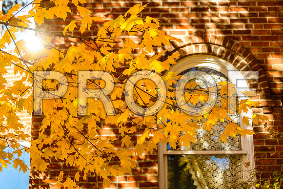 Route 66 - 1903 Courthouse during Fall in Waynesville (c)2017PicsbyJax #fall2017 #picsbyjax-5263.jpg