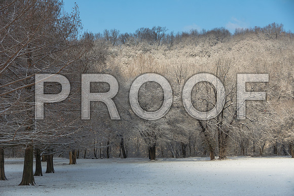 White Christmas 2017 (c)PicsbyJax #christmas #snow #picsbyjax  -9678.jpg