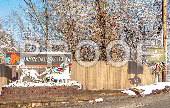 White Christmas 2017 (c)PicsbyJax #christmas #snow #picsbyjax  -9734.jpg