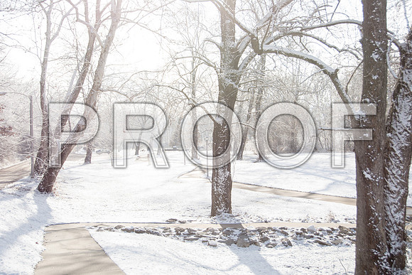 White Christmas 2017 (c)PicsbyJax #christmas #snow #picsbyjax  -9766.jpg